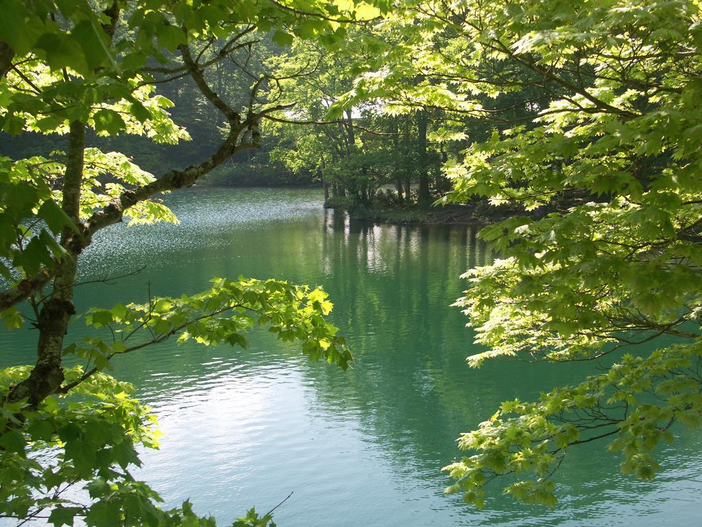 伊藤屋 Ξενοδοχείο Γιαμαγκάτα Εξωτερικό φωτογραφία